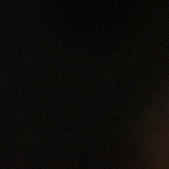 Meet your Posher, Sadie - Picture 1 of 1